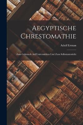 Aegyptische Chrestomathie: Zum Gebrauch Auf Universitaten Und Zum Selbstunterricht - Adolf Erman - cover