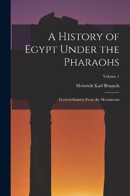 A History of Egypt Under the Pharaohs: Derived Entirely From the Monuments; Volume 1 - Heinrich Karl Brugsch - cover
