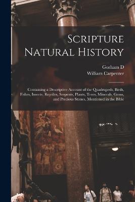 Scripture Natural History; Containing a Descriptive Account of the Quadrupeds, Birds, Fishes, Insects, Reptiles, Serpents, Plants, Trees, Minerals, Gems, and Precious Stones, Mentioned in the Bible - William Carpenter,Gorham D 1807-1874 Abbot - cover