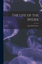 The Life of the Spider