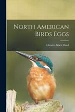 North American Birds Eggs