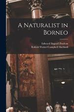 A Naturalist in Borneo