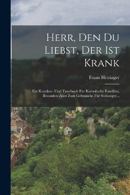 Herr, den du Liebst, der ist Krank: Ein Kranken- und Trostbuch für Katholische Familien, Besonders aber zum Gebrauche für Seelsorger... - Franz Hettinger - cover