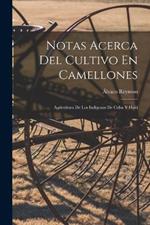 Notas Acerca Del Cultivo En Camellones: Agricultura De Los Indigenas De Cuba Y Haiti