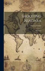 Shooting Niagara: And After?