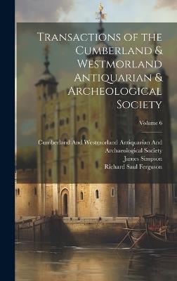 Transactions of the Cumberland & Westmorland Antiquarian & Archeological Society; Volume 6 - William Gershom Collingwood,Richard Saul Ferguson,James Simpson - cover