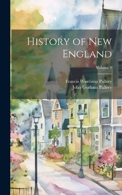 History of New England; Volume 3 - Francis Winthrop Palfrey,John Gorham Palfrey - cover