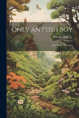 Only an Irish Boy: Andy Burke's Fortunes - Horatio Alger - cover