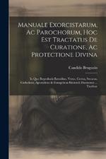 Manuale Exorcistarum, Ac Parochorum, Hoc Est Tractatus De Curatione, Ac Protectione Divina: In Quo Reprobatis Erroribus, Verus, Certus, Securus, Catholicus, Apostolicus & Evangelicus Eiiciendi Daemones ... Traditur