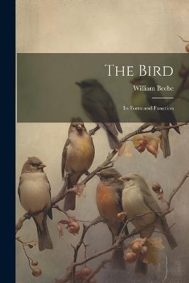 The Bird; its Form and Function - William Beebe - cover