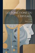 Les Fonctions Du Cerveau...