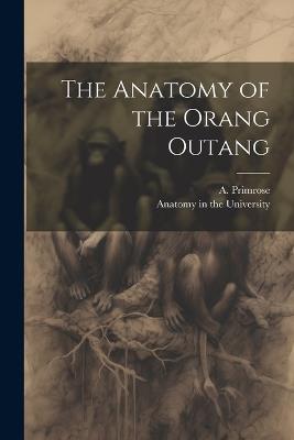 The Anatomy of the Orang Outang - A Primrose - cover