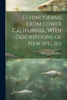 Echinoderms From Lower California, With Descriptions of new Species - Hubert Lyman Clark - cover