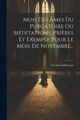 Mois Des Âmes Du Purgatoire Ou Méditations, Prières Et Exemple Pour Le Mois De Novembre... - Léonie Guillemaut - cover