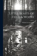 Little Beasts of Field & Wood;