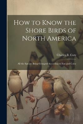 How to Know the Shore Birds of North America: All the Species Being Grouped According to Size and Color - Charles B Cory - cover