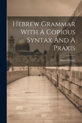 Hebrew Grammar With A Copious Syntax And A Praxis - Moses Stuart - cover