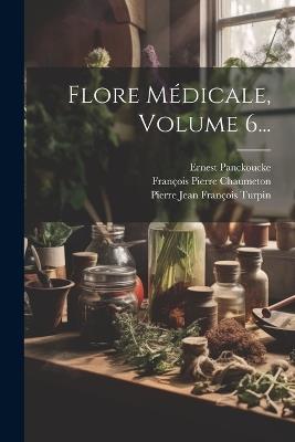 Flore Médicale, Volume 6... - François Pierre Chaumeton,Ernest Panckoucke - cover