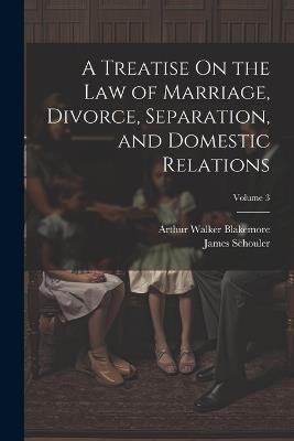 A Treatise On the Law of Marriage, Divorce, Separation, and Domestic Relations; Volume 3 - James Schouler,Arthur Walker Blakemore - cover