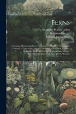 Ferns: Osmunda, Hymenophyllum, Trichomanes, Davallia, Thyrsopteris, Cibotium, Trichiocarpa, Deparia, Dicksonia, Gleichenia, Cyathea, Hemitelia, Alsophila, Todea, Dictyoxiphium, Mohria, Anemidictyon, Lygodium, Angiopteris, Marattia