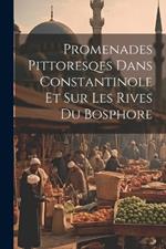 Promenades Pittoresqes Dans Constantinole Et Sur Les Rives Du Bosphore