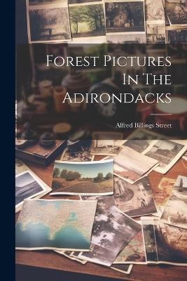 Forest Pictures In The Adirondacks - Alfred Billings Street - cover