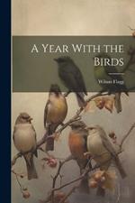 A Year With the Birds