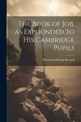 The Book of Job. as Expounded to his Cambridge Pupils - Hermann Hedwig Bernard - cover