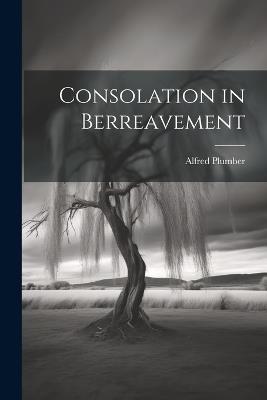 Consolation in Berreavement - Alfred Plumber - cover