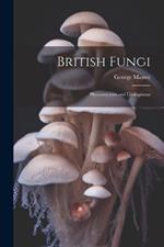 British Fungi: Phycomycetes and Ustilagineae