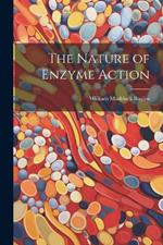 The Nature of Enzyme Action