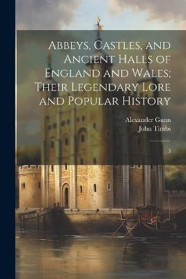 Abbeys, Castles, and Ancient Halls of England and Wales; Their Legendary Lore and Popular History: 3 - John Timbs,Alexander Gunn - cover