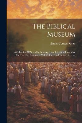 The Biblical Museum: A Collection Of Notes Explanatory, Homiletic, And Illustrative On The Holy Scriptures: Vol. V, The Epistle to the Hebrews - James Comper Gray - cover