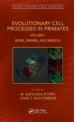 Evolutionary Cell Processes in Primates: Bone, Brains, and Muscle, Volume I - cover