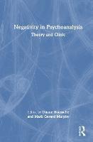 Negativity in Psychoanalysis: Theory and Clinic