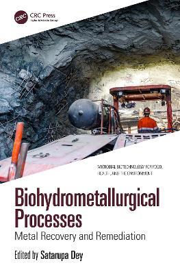 Biohydrometallurgical Processes: Metal Recovery and Remediation - cover