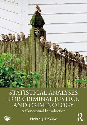 Statistical Analyses for Criminal Justice and Criminology: A Conceptual Introduction - Michael J. DeValve - cover