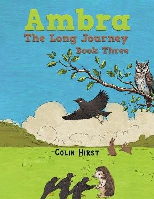 Ambra: The Long Journey: Book Three - Colin Hirst - cover