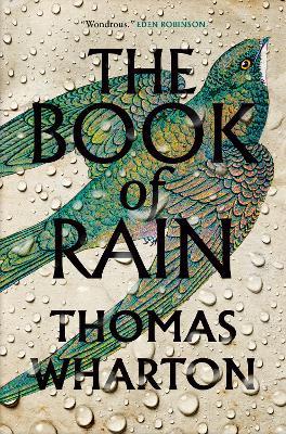 The Book of Rain - Thomas Wharton - cover