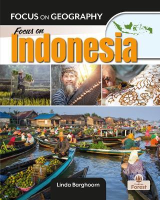 Focus on Indonesia - Linda Barghoorn - cover