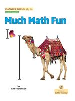 Much Math Fun