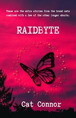 Raidbyte