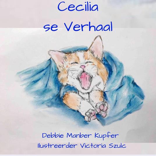 Cecilia se Verhaal - Debbie Manber Kupfer - ebook