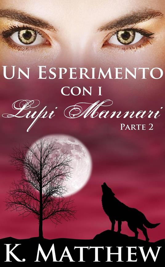 Un Esperimento con i Lupi Mannari: Parte 2 - K Matthew - ebook