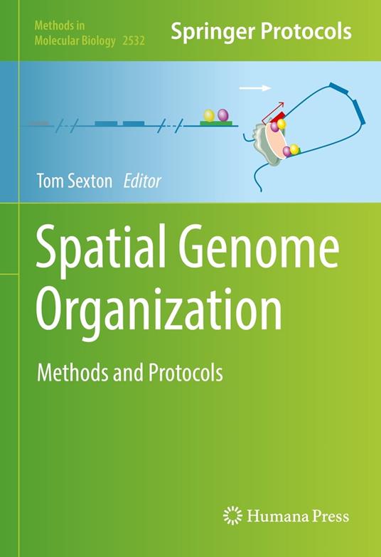 Spatial Genome Organization