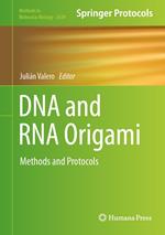 DNA and RNA Origami