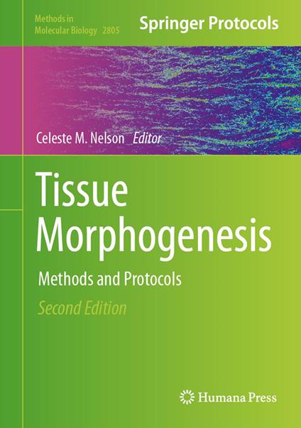 Tissue Morphogenesis