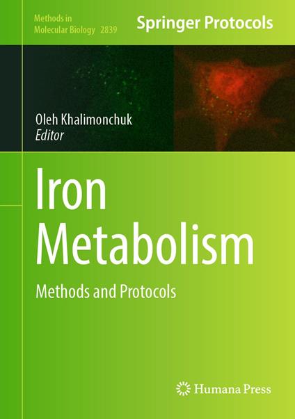 Iron Metabolism