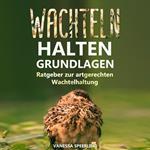 Wachteln halten - Grundlagen