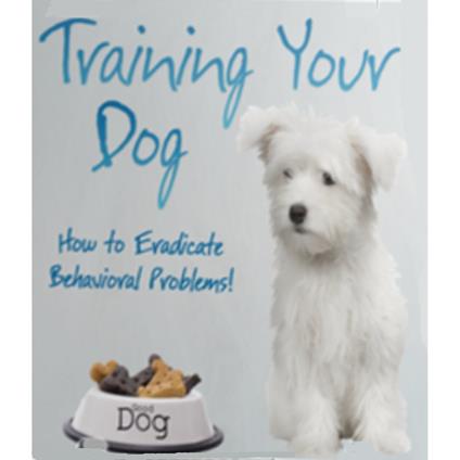 Training Your Dog - How to Eradicate Behavioral Problems!
